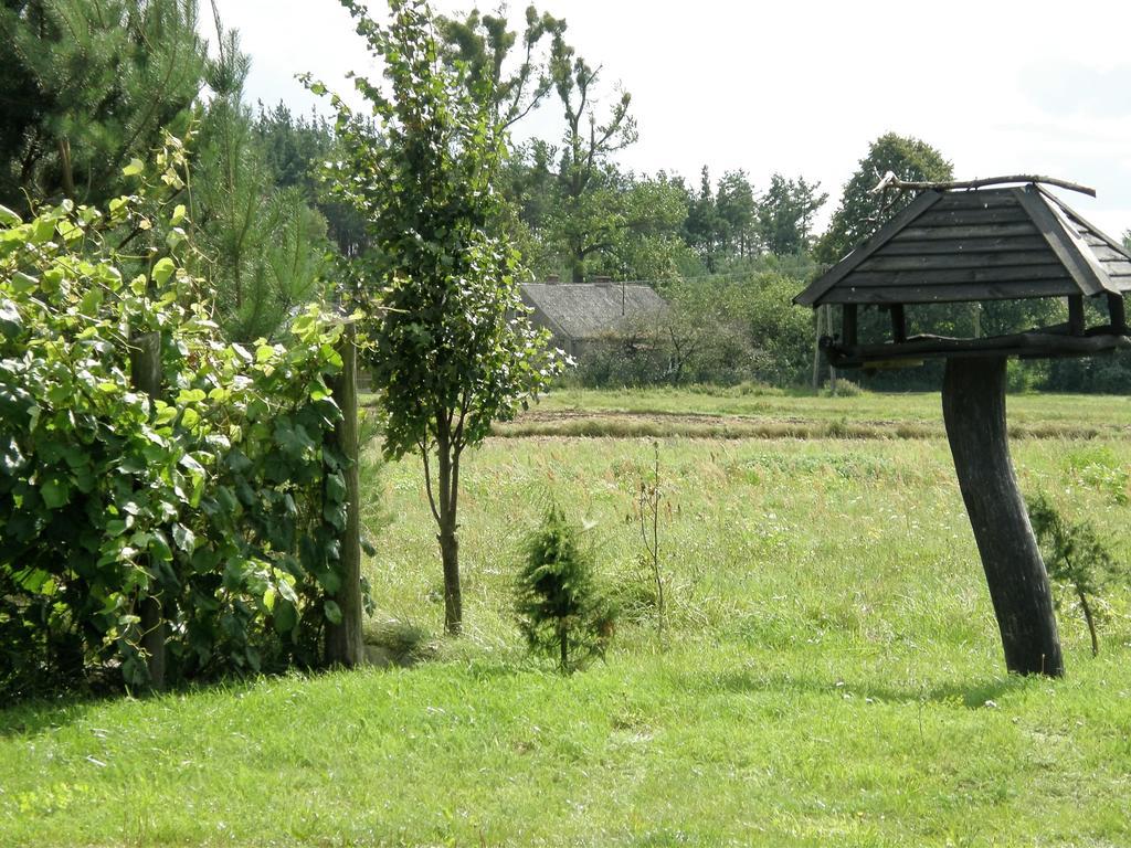 Agroturystyka Bociek Bełk  Zewnętrze zdjęcie